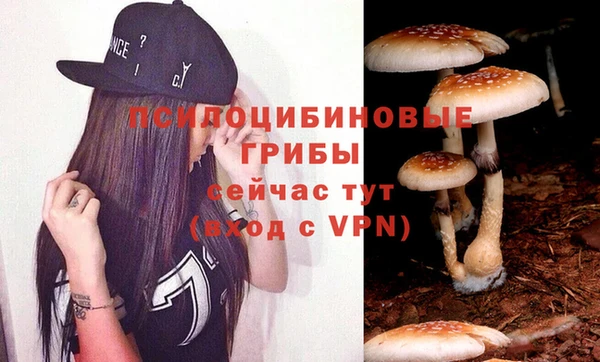 соль курить ск Армянск