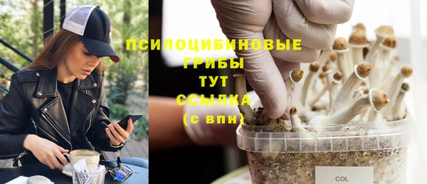 прущая мука Баксан