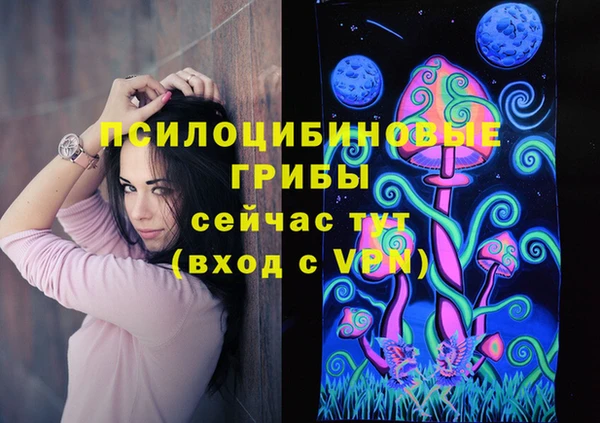 гашик Балабаново