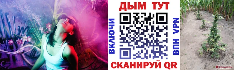 Шишки марихуана Amnesia  Вихоревка 